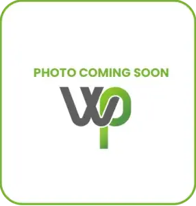 Welland Procurement Team Photo